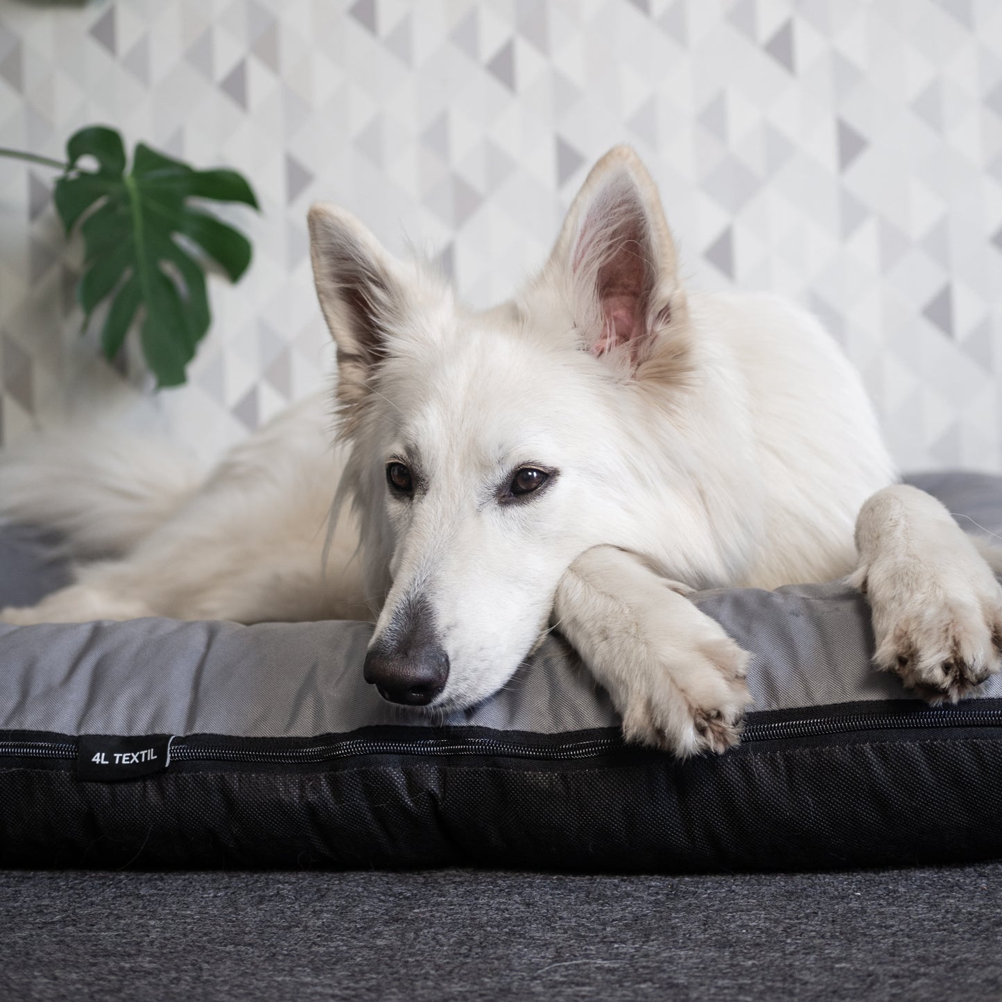 KLEO Wasserabweisendes Hundebett Grau