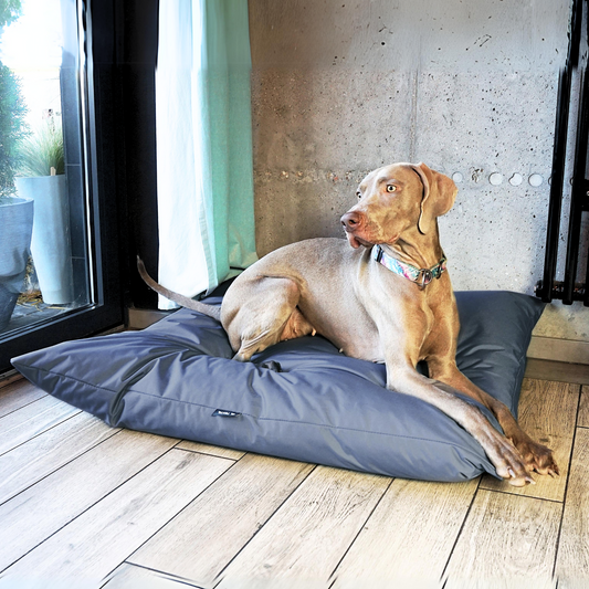 ZOE Wasserdichtes Hundekissen mit Bezug Dunkelgrau