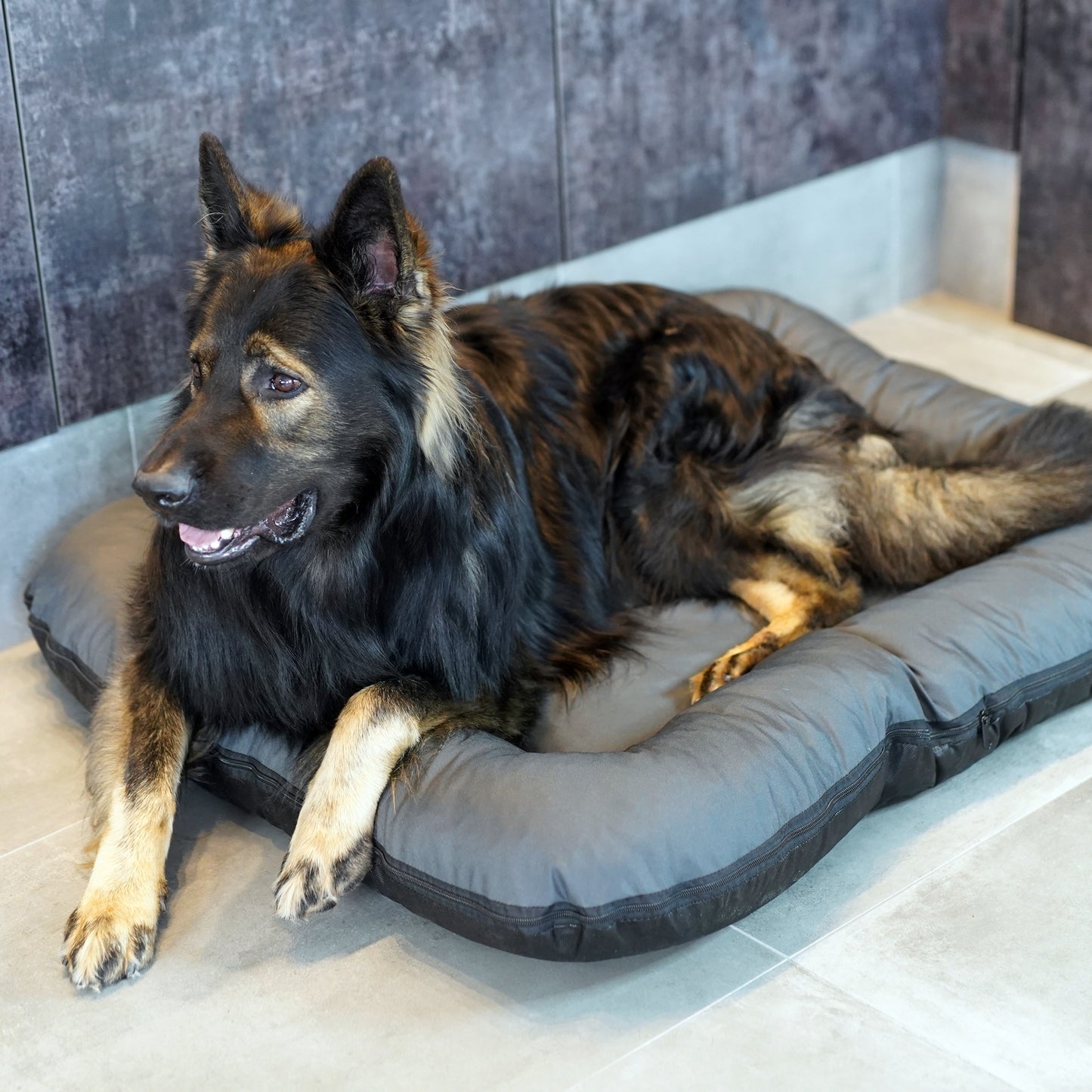 KLEO Wasserabweisendes Hundebett Dunkelgrau