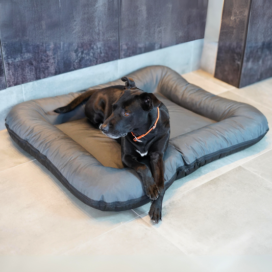 SCHLUSSVERKAUF KLEO Wasserdichtes Hundebett, Größe 130x110 cm, Farbe: Graphit