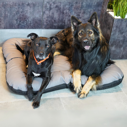 ELLA Hundematratze aus Kunstleder