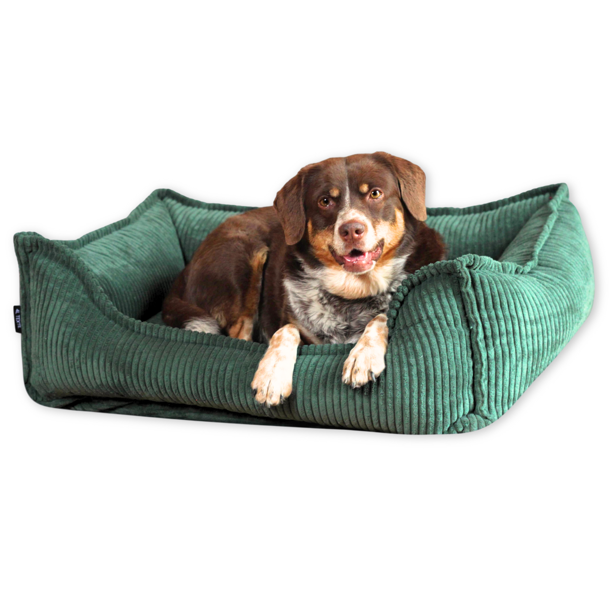 OUTLET HUGO Orthopädisches Hundebett aus Cord PREMIUM-LINE