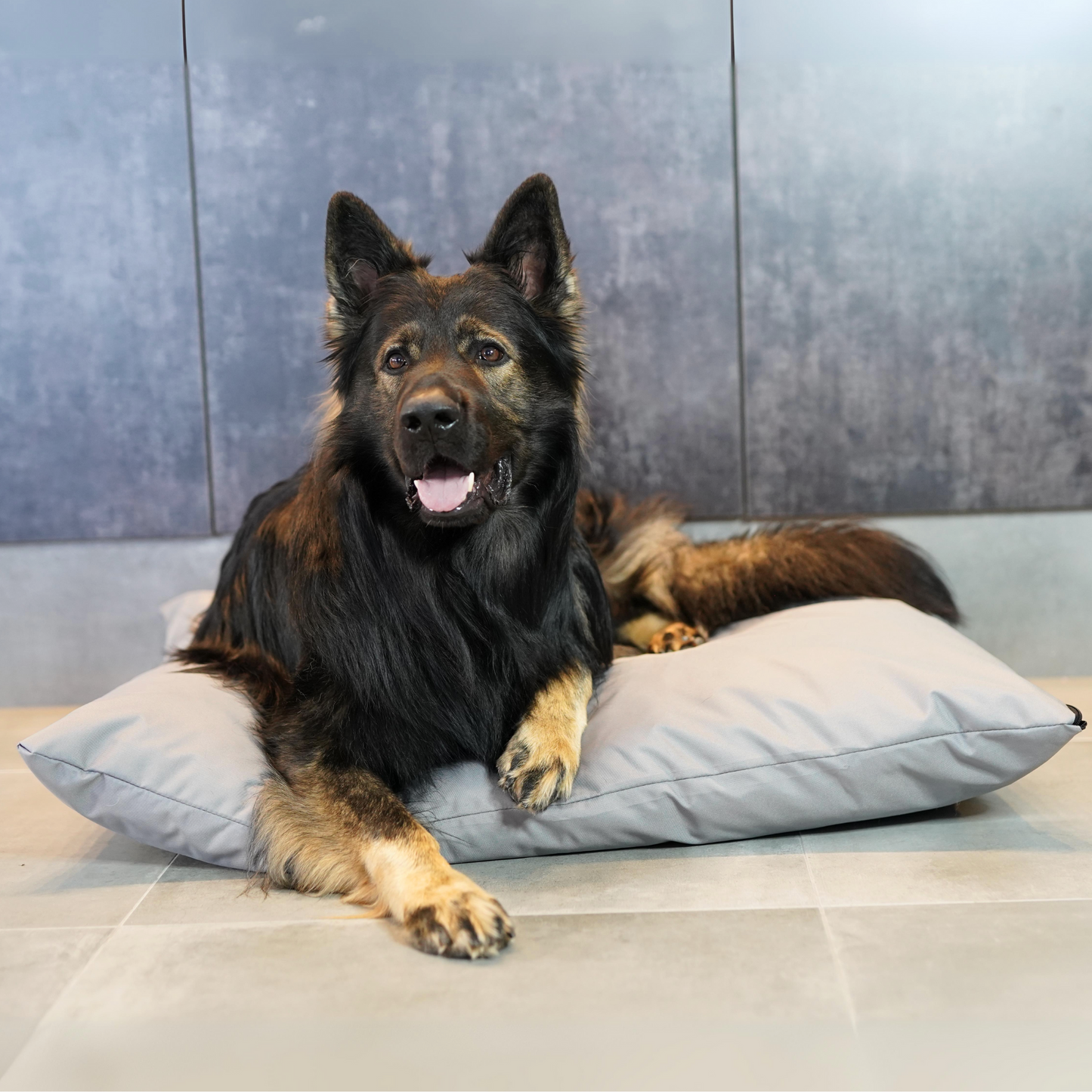 ZOE Wasserdichtes Hundekissen mit Bezug Grau