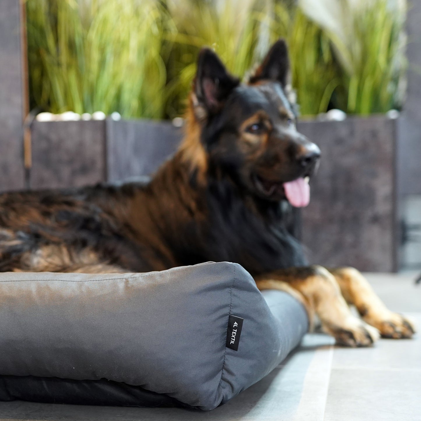 KOKO Hundekorb mit abnehmbarem, wasserdichtem Bezug Dunkelgrau