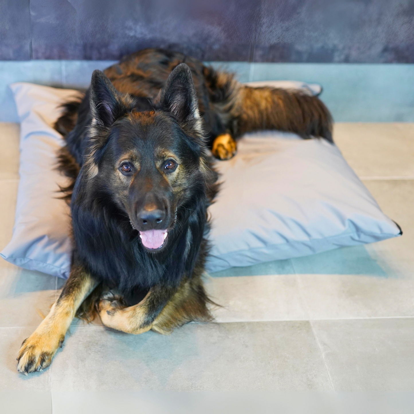 ZOE Wasserdichtes Hundekissen mit Bezug Grau