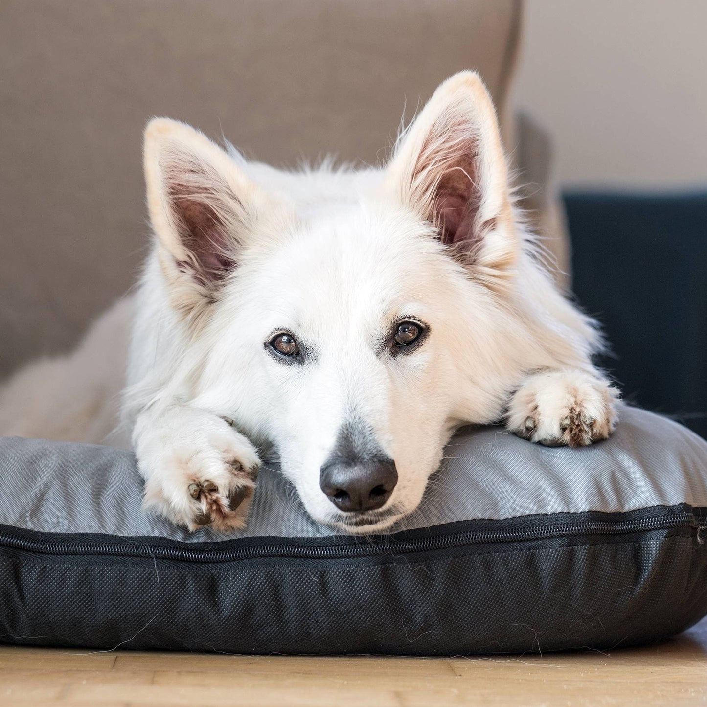 KLEO Wasserabweisendes Hundebett Grau