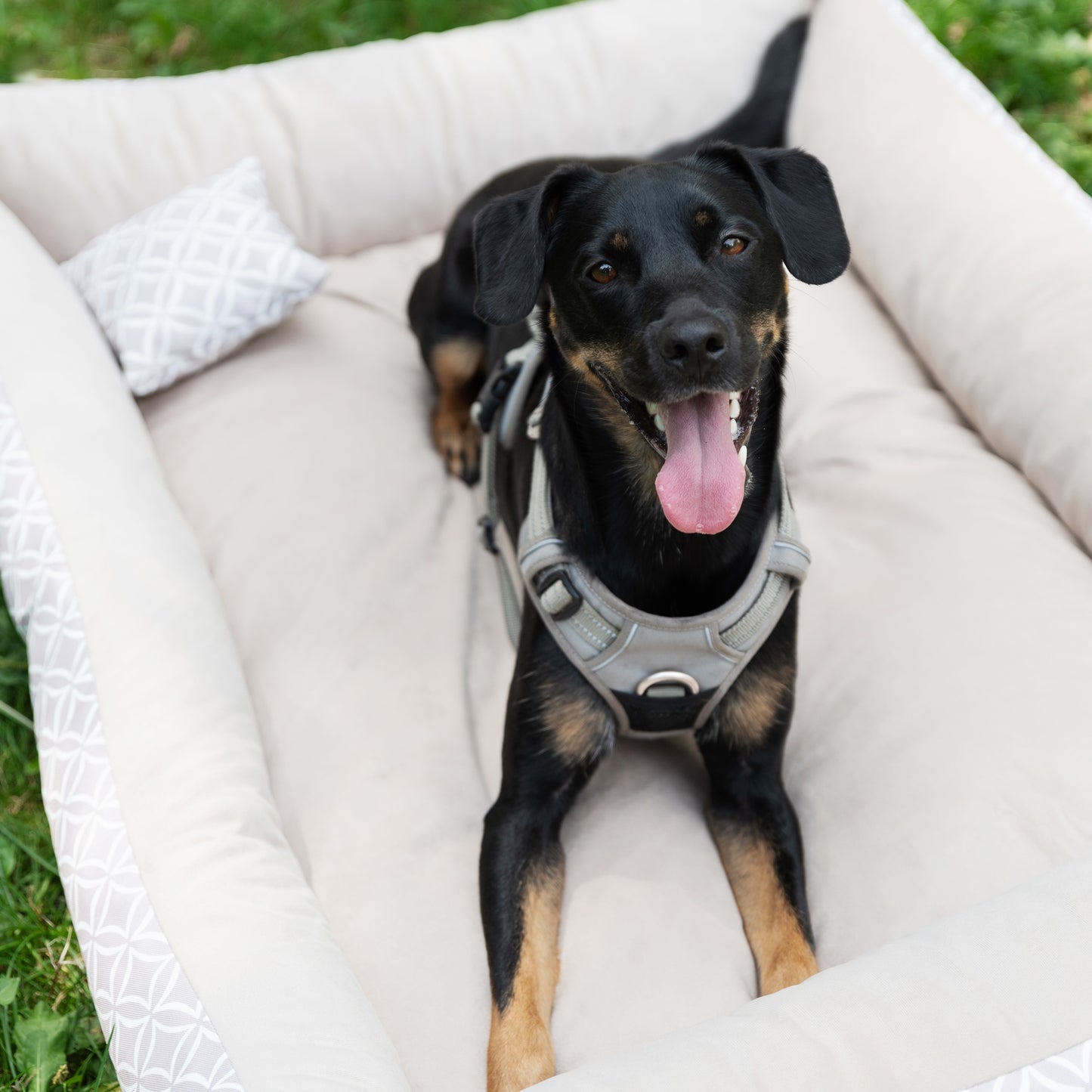 OTTO Boho Hundebett Beige