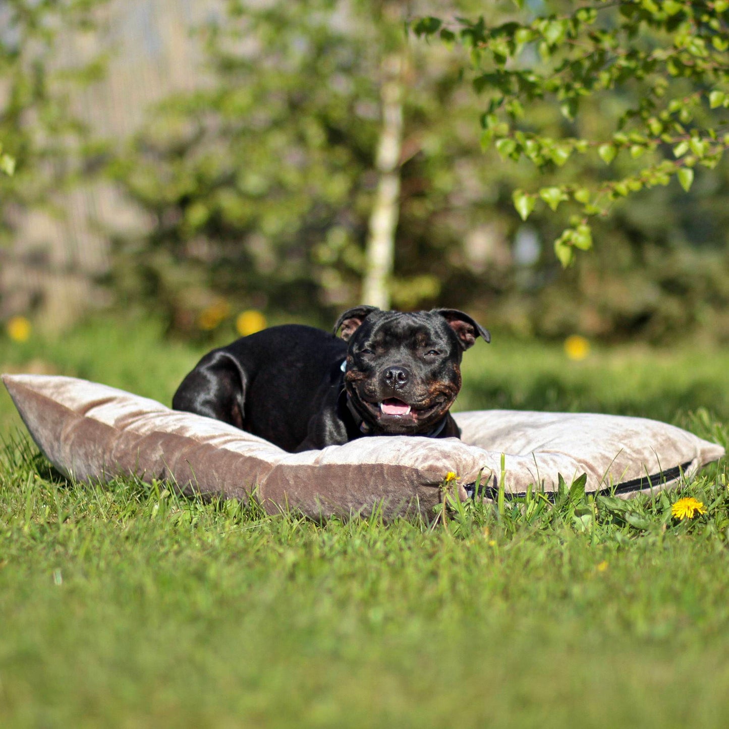 MALIBU Kuscheliges Hundekissen Braun