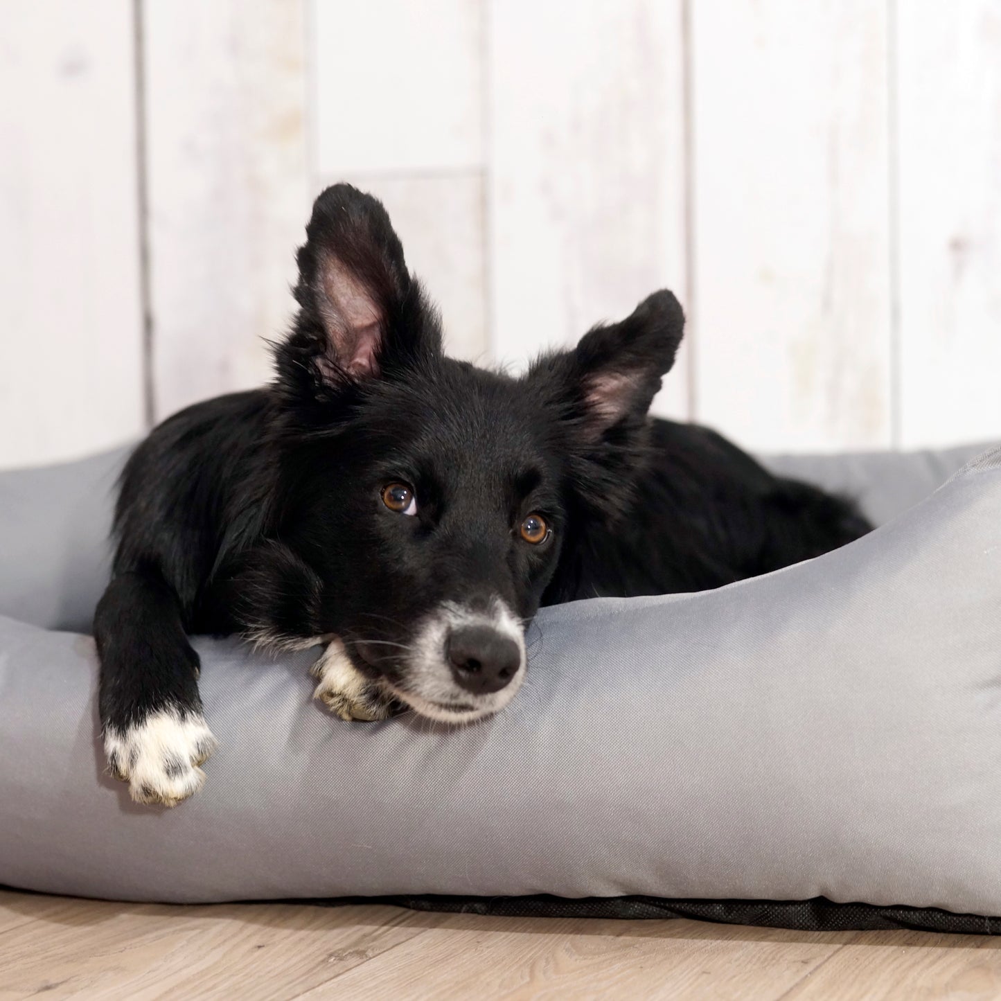 KOKO Hundekorb mit abnehmbarem, wasserdichtem Bezug Grau