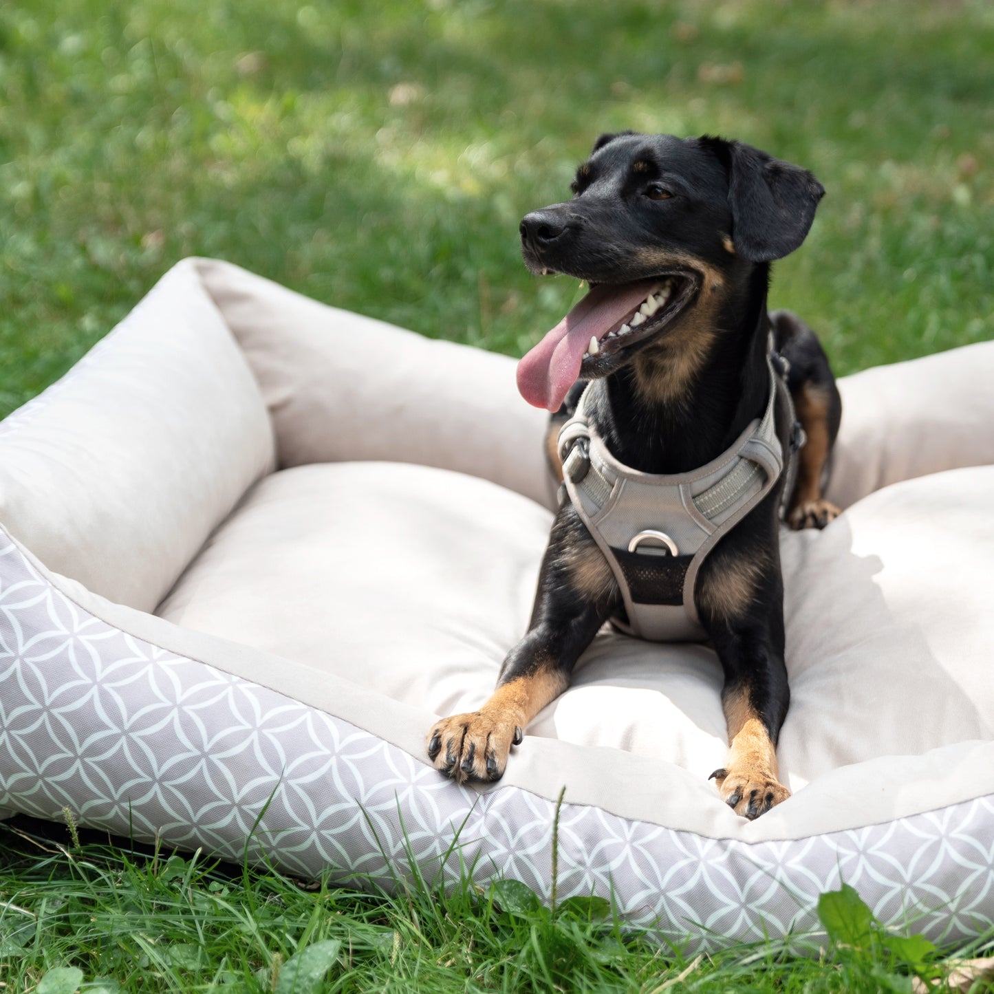 OTTO Boho Hundebett Beige