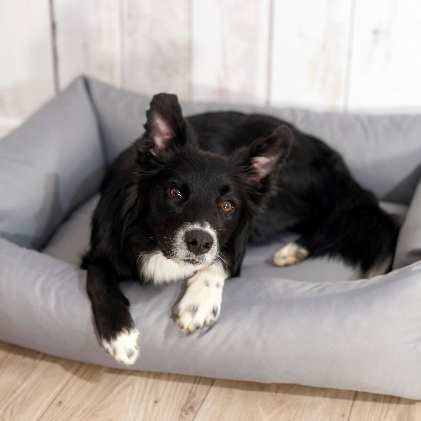 KOKO Hundekorb mit abnehmbarem, wasserdichtem Bezug Grau