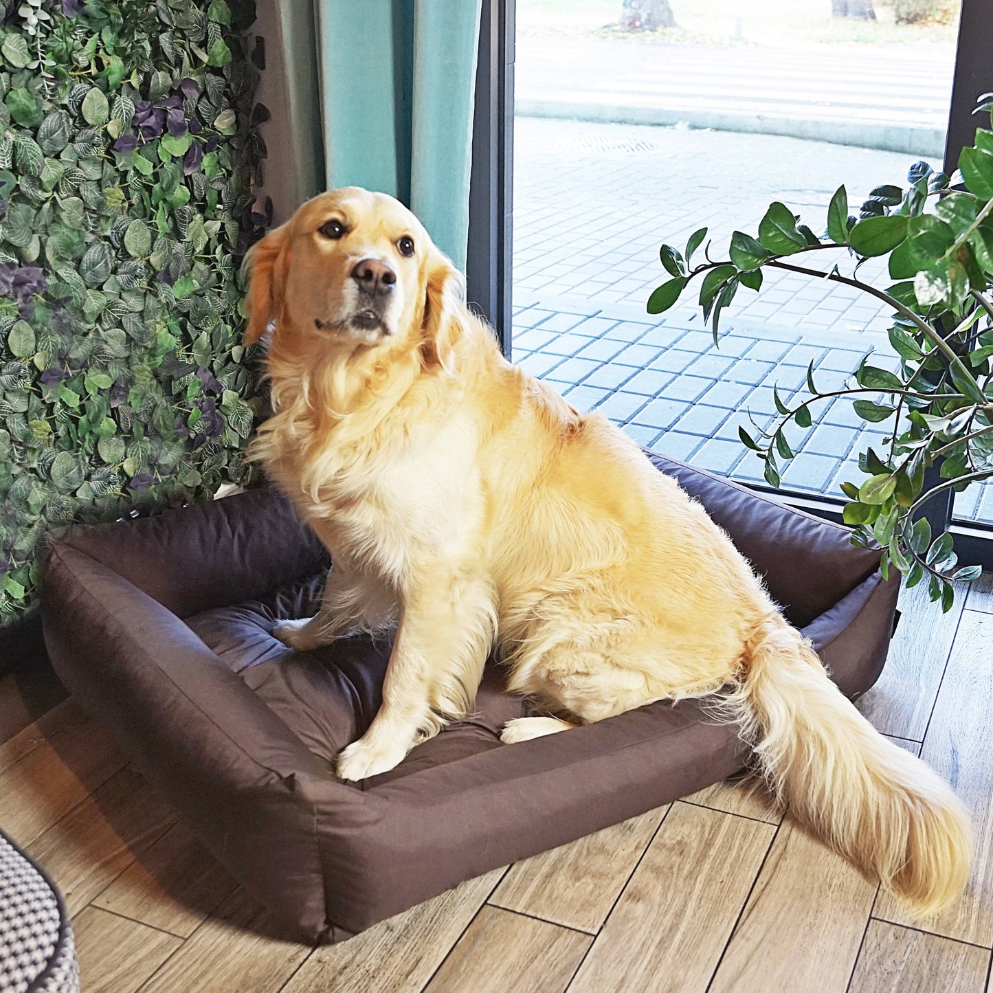 KOKO Hundekorb mit abnehmbarem, wasserdichtem Bezug Braun