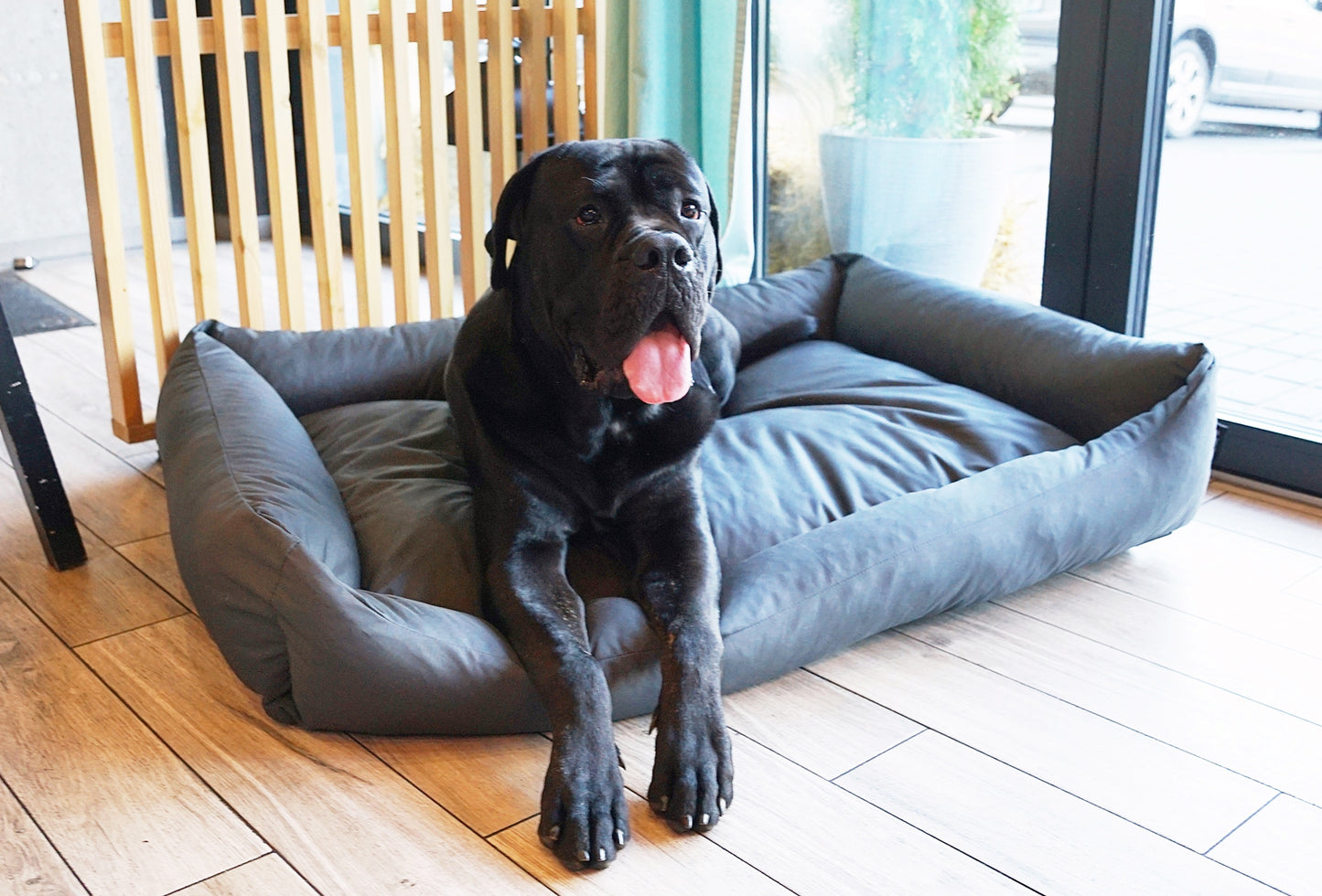 KOKO Hundekorb mit abnehmbarem, wasserdichtem Bezug Dunkelgrau