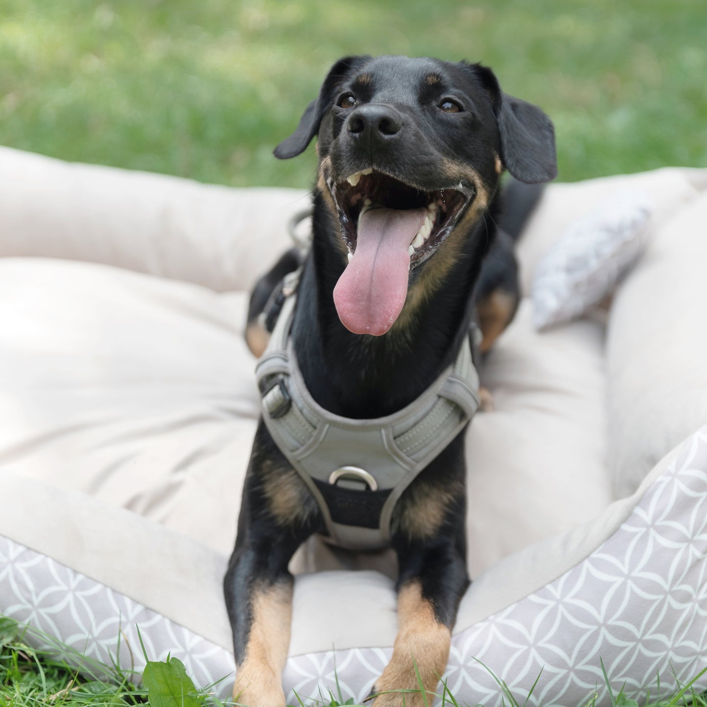 OTTO Boho Hundebett Beige