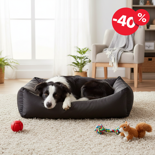 KOKO Wasserabweisendes Hundebett