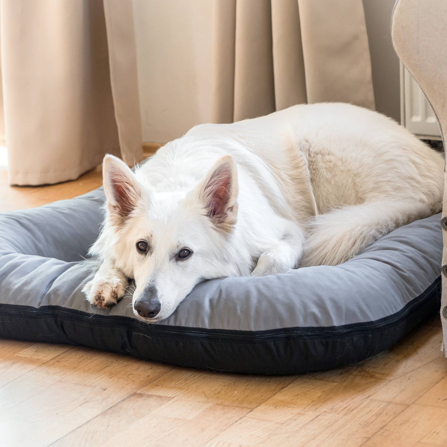 KLEO Wasserabweisendes Hundebett Grau