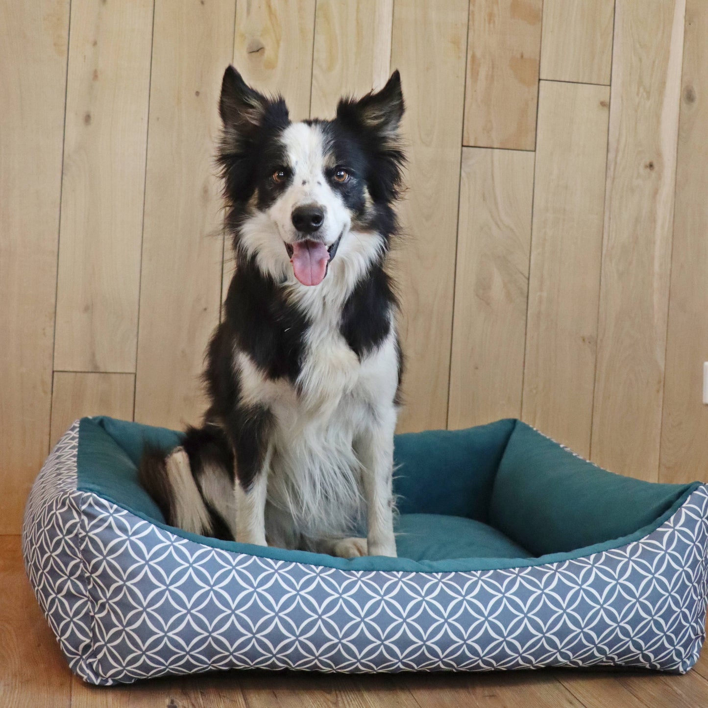 OTTO Boho Hundekorb Türkis