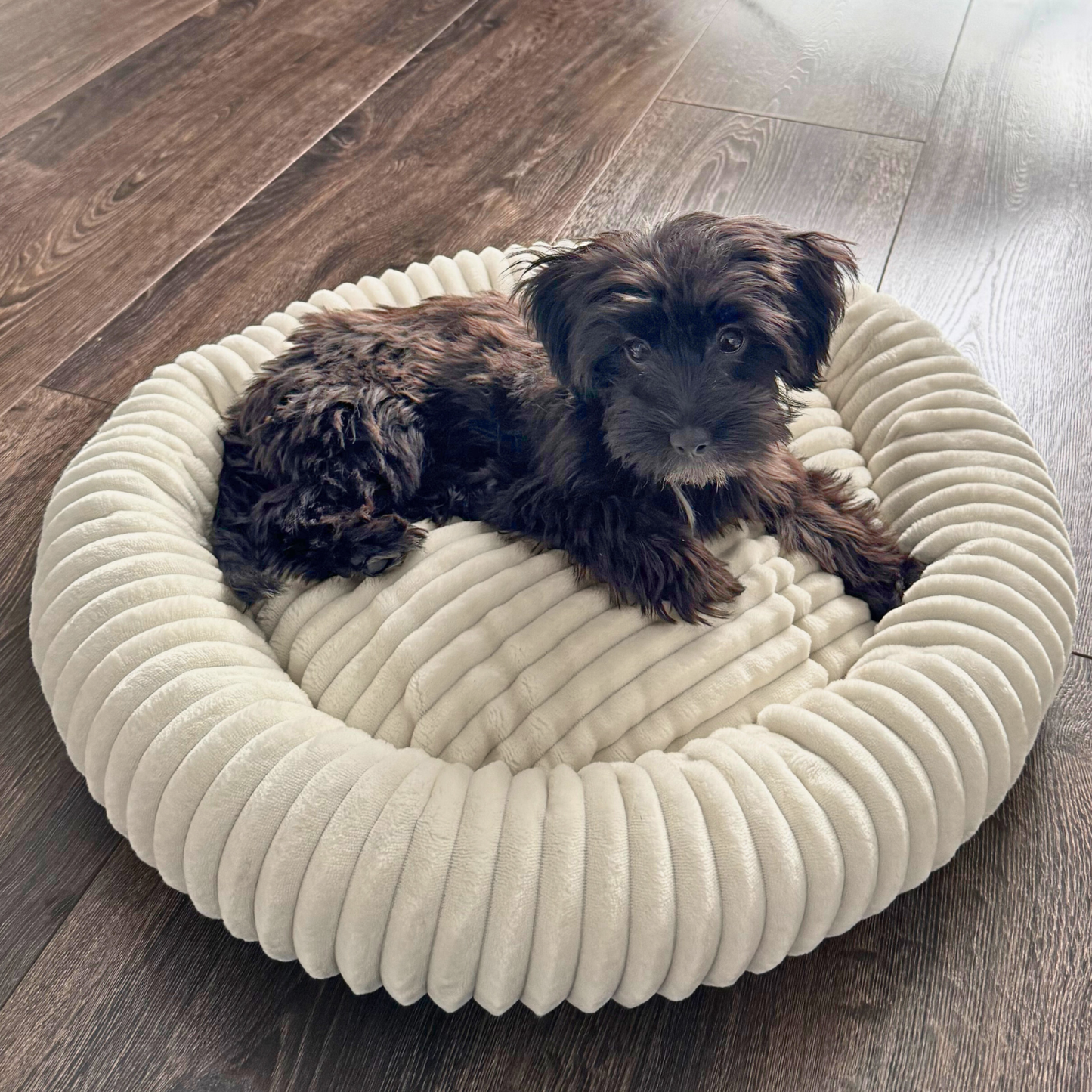 LUNA Weiches Hundebett