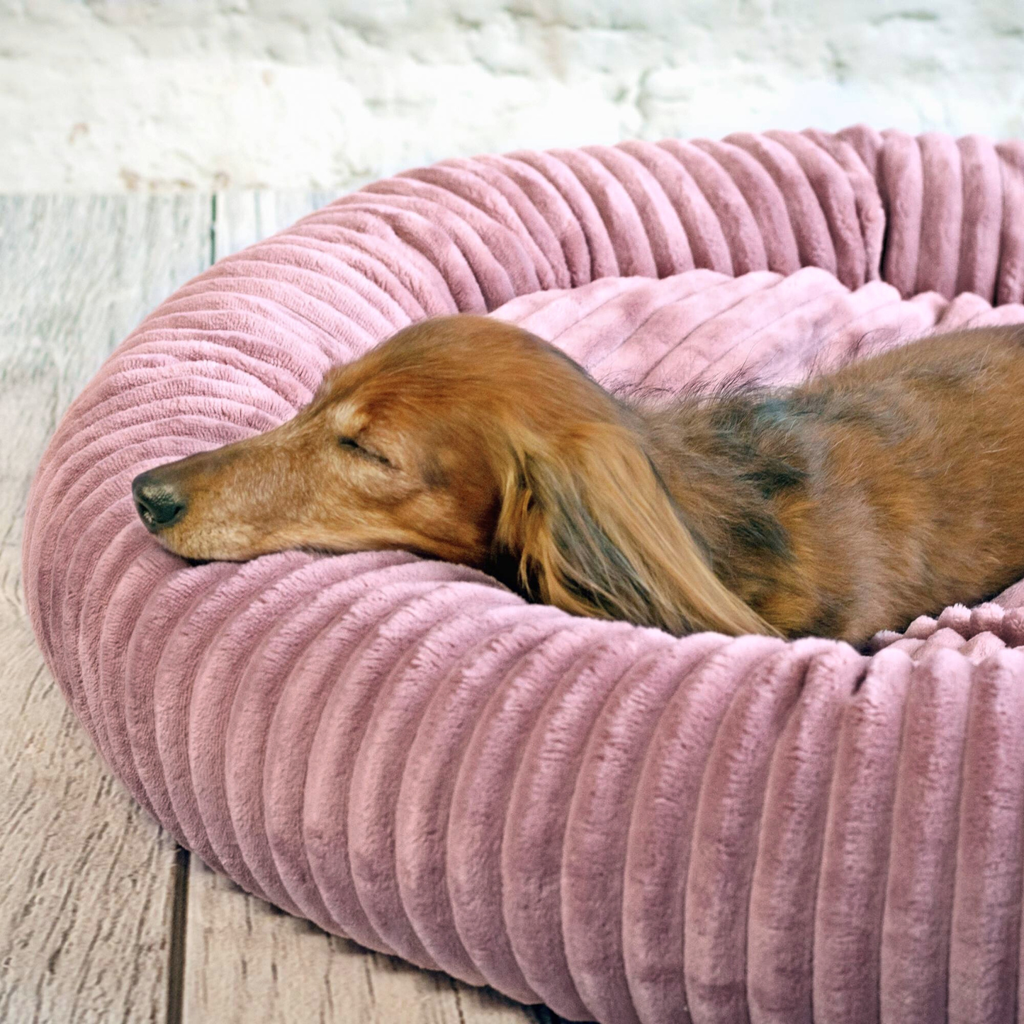 LUNA Weiches Hundebett