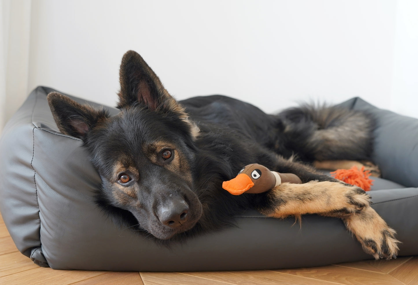 MARIO Hundebett aus Kunstleder Dunkelgrau