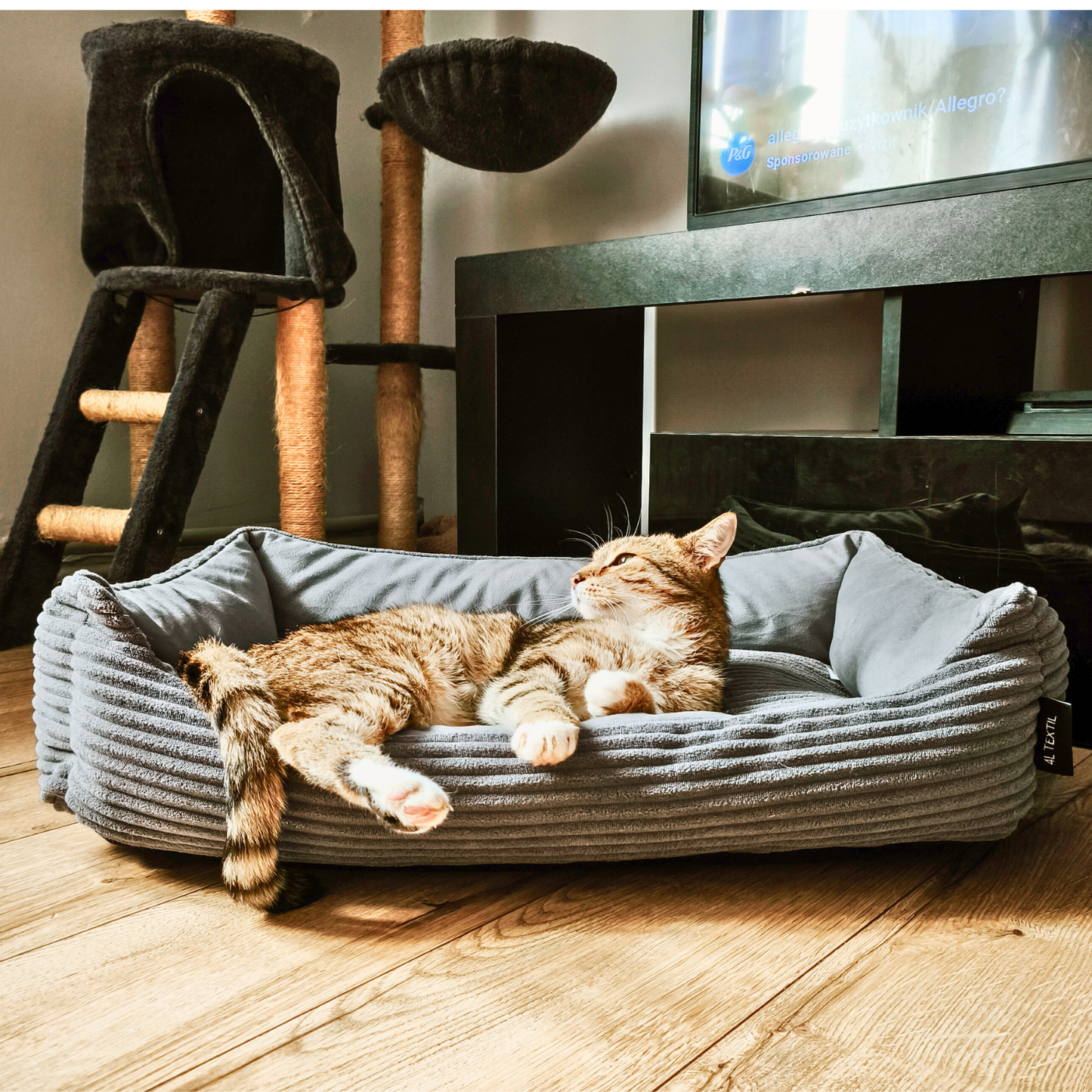 MOLLY Katzenbett aus Cord