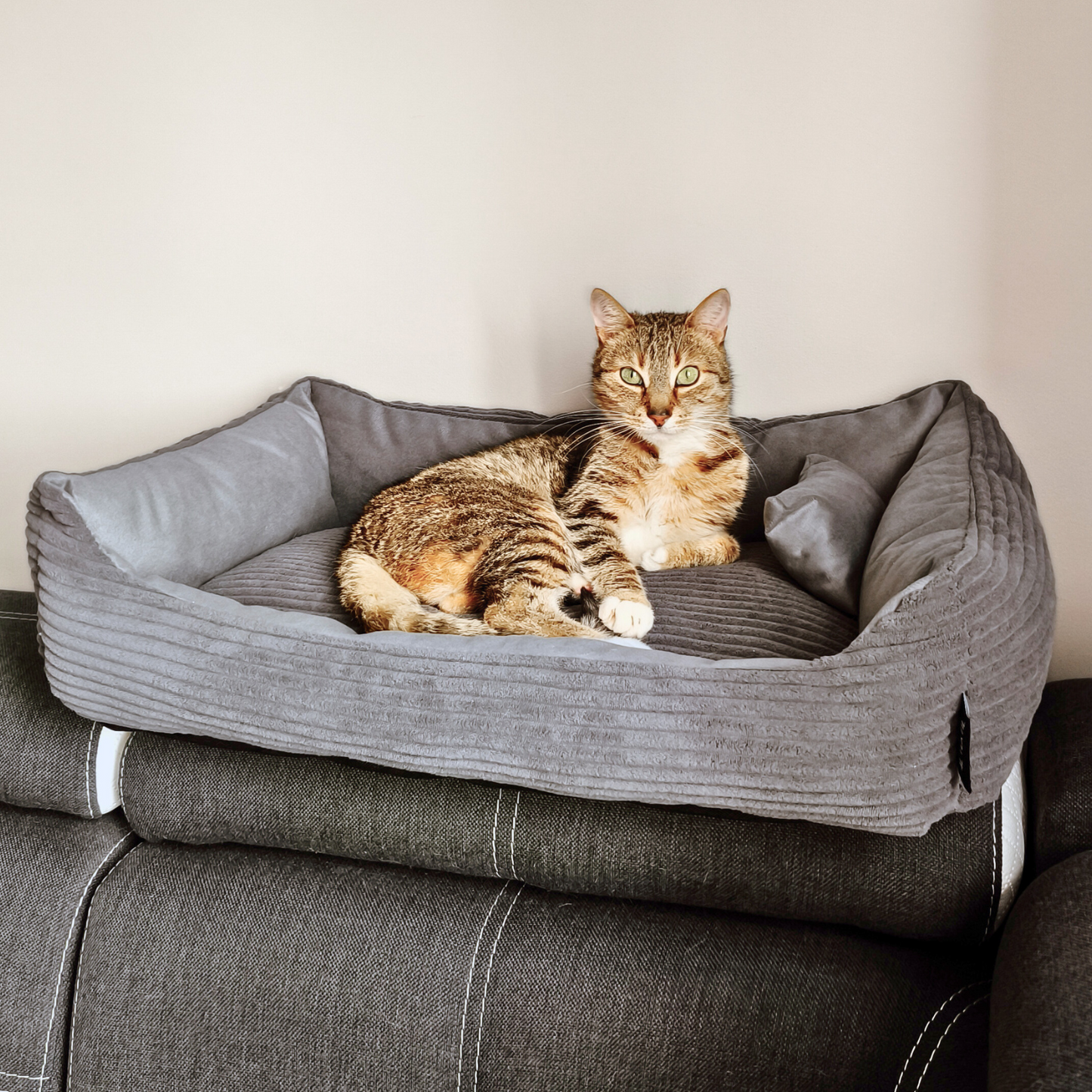 MOLLY Katzenbett aus Cord