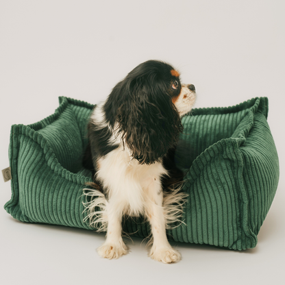 HUGO Orthopädisches Hundebett aus Cord PREMIUM-LINE