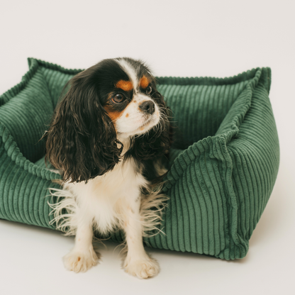 OUTLET HUGO Orthopädisches Hundebett aus Cord PREMIUM-LINE