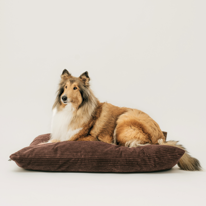 MOLLY Hundekissen aus Cord mit Bezug