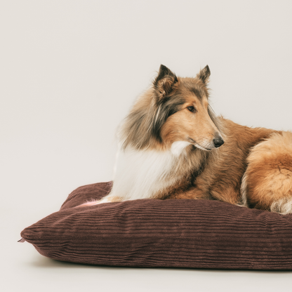 MOLLY Hundekissen aus Cord mit Bezug