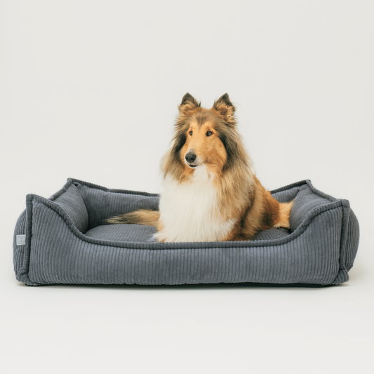 HUGO Orthopädisches Hundebett aus Cord PREMIUM-LINE