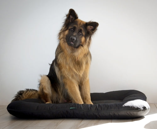 KLEO Wasserabweisendes Hundebett Schwarz