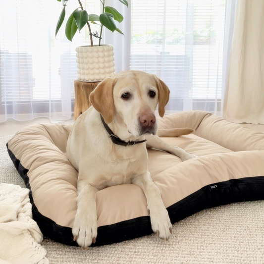 KLEO Wasserdichtes Hundebett