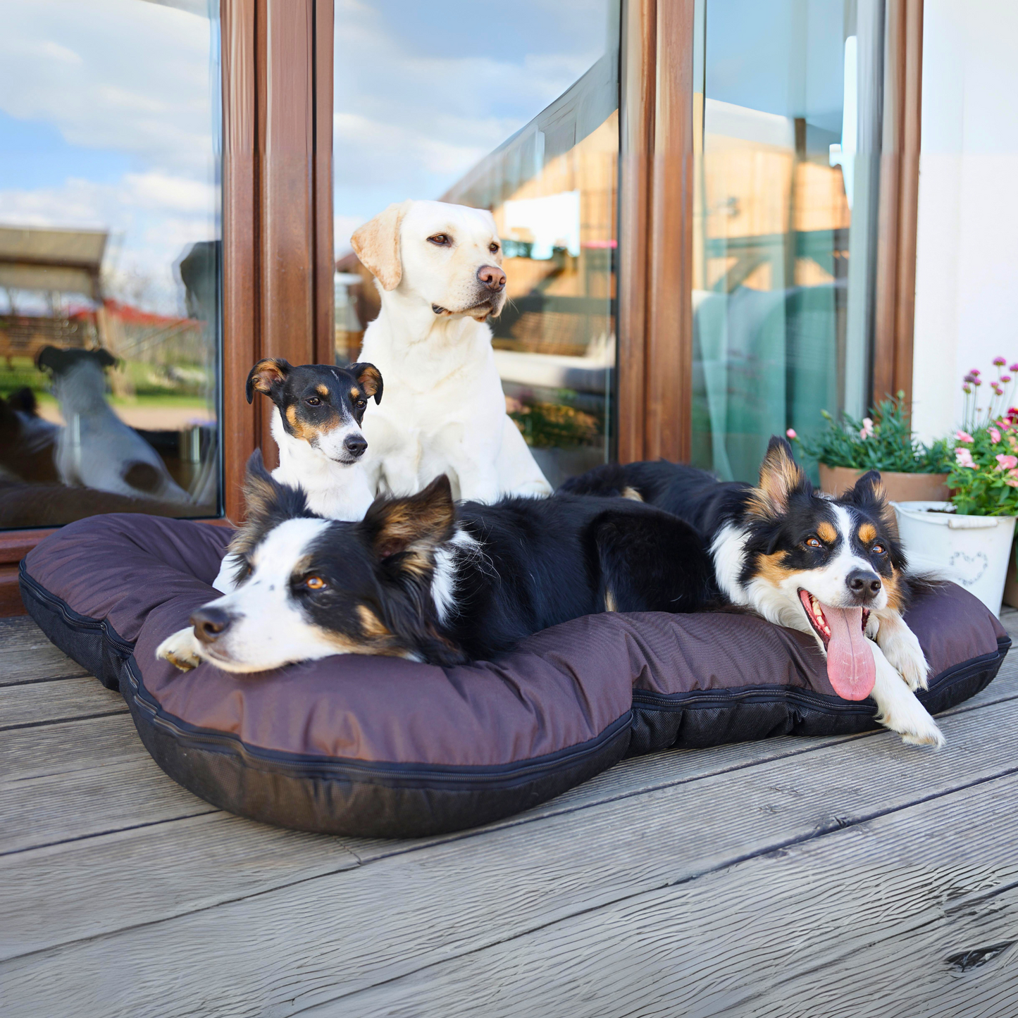 KLEO Wasserabweisendes Hundebett Braun