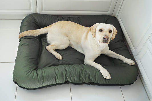 SCHLUSSVERKAUF KLEO Wasserdichtes Hundebett, Größe 130x110 cm, Farbe: Dunkelgrün