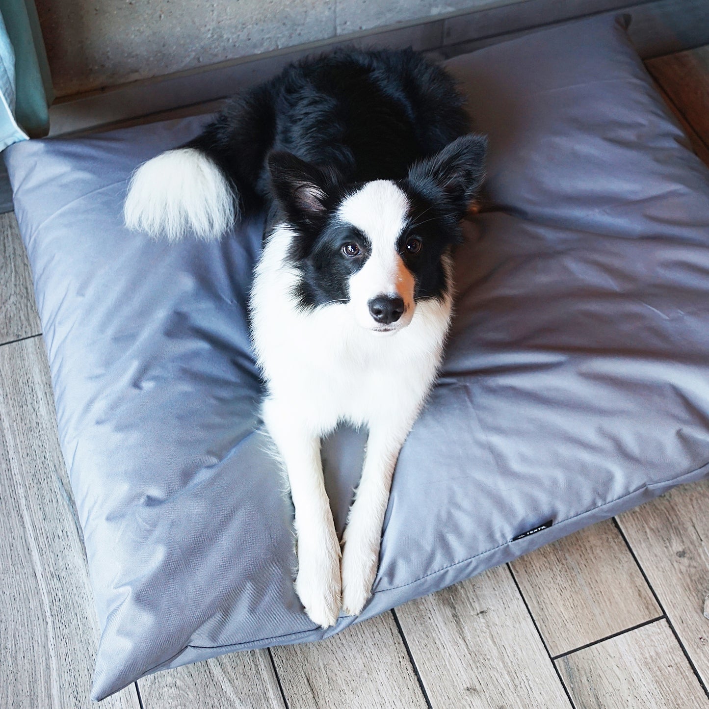 ZOE Wasserdichtes Hundekissen mit Bezug Grau