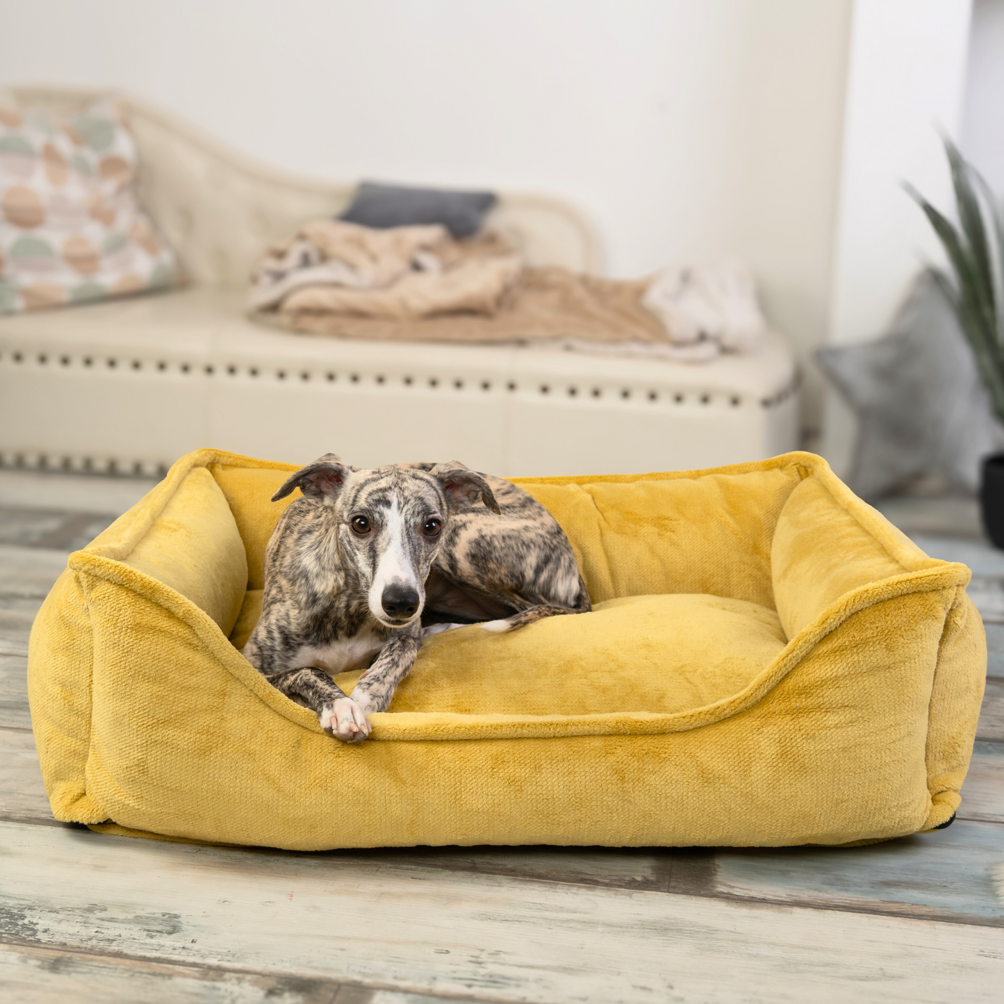 IRIS Orthopädisches Hundebett PREMIUM-LINE