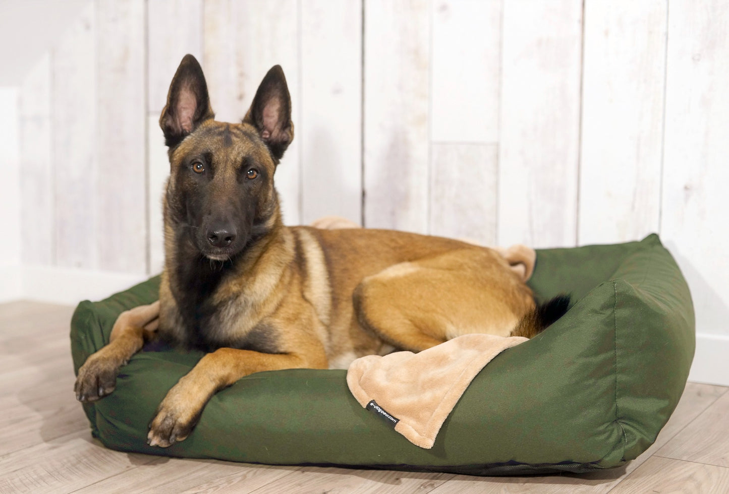 KOKO Hundekorb mit abnehmbarem, wasserdichtem Bezug Grün