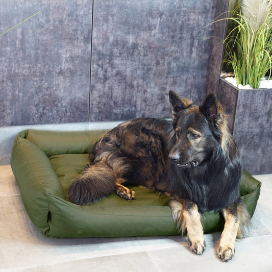 KOKO Hundekorb mit abnehmbarem, wasserdichtem Bezug Grün