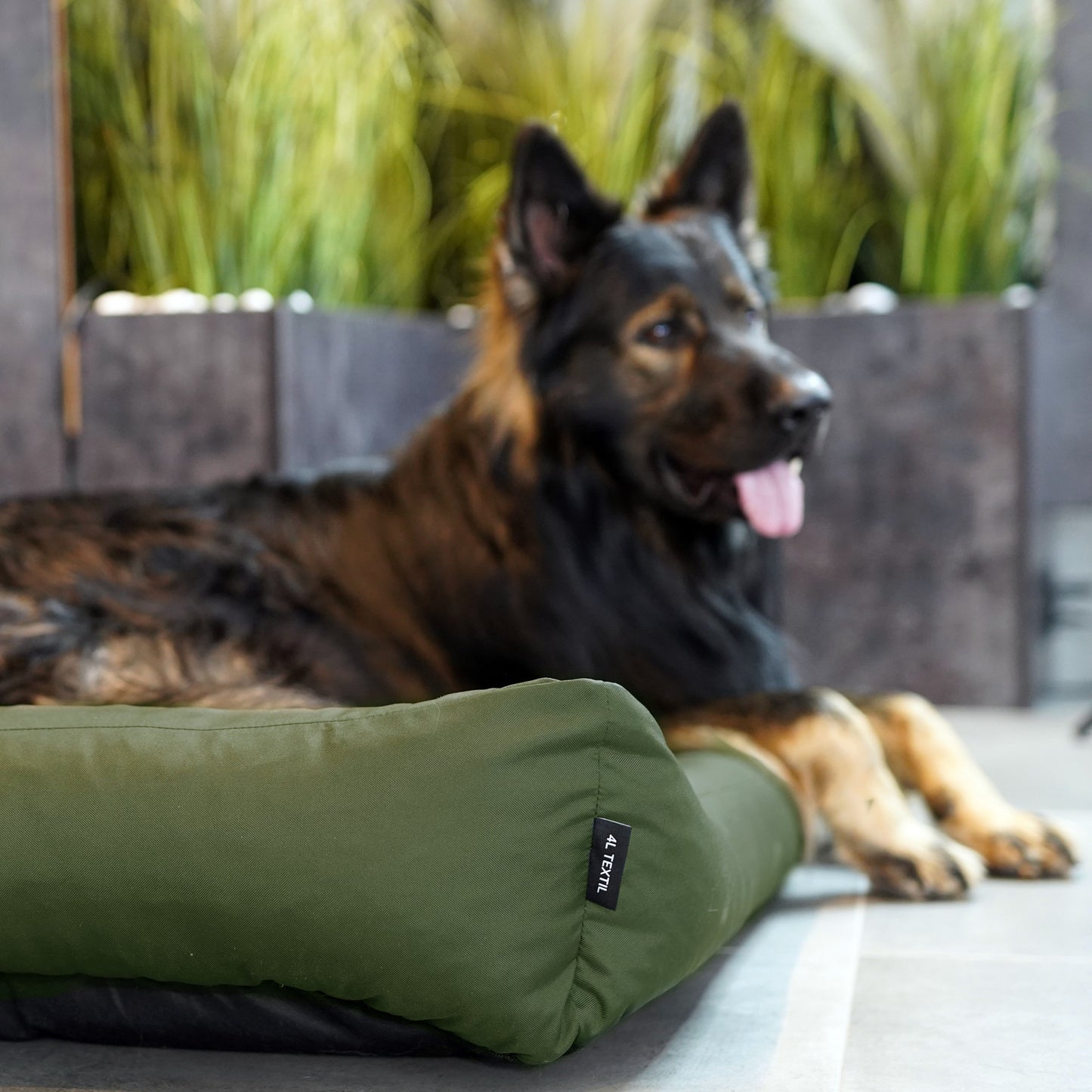 KOKO Hundekorb mit abnehmbarem, wasserdichtem Bezug Grün