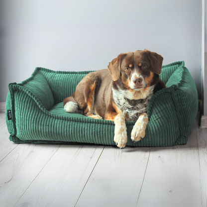 HUGO Orthopädisches Hundebett aus Cord PREMIUM-LINE